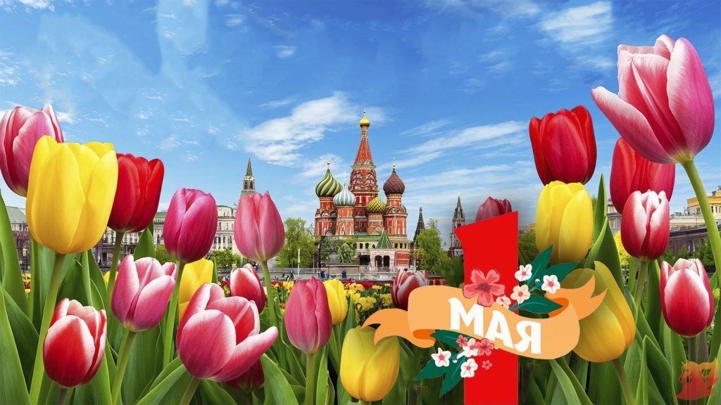 1_maya_5